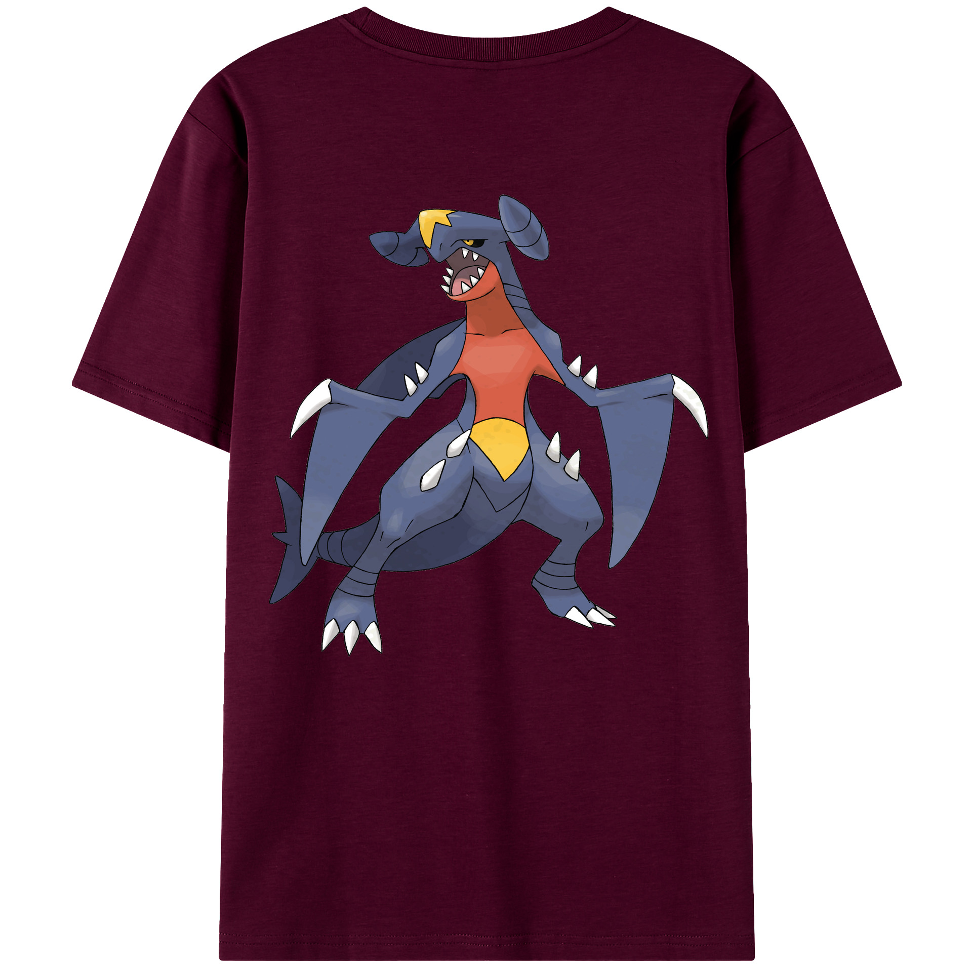 （画像用） ポケットモンスター Pokémon レディース半袖Tシャツ(バックプリント)